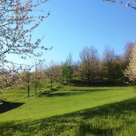 Semesterbostad Holiday In Ciglione/piemont 38688